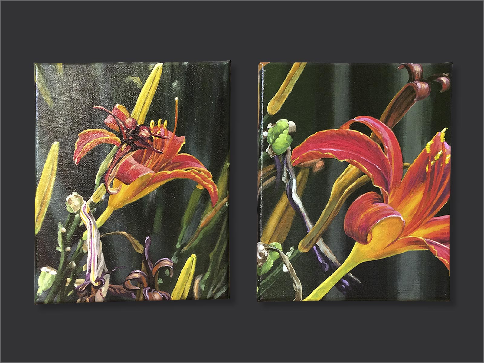 rode lelie bloemen als knop, bloem in bloei en verwelkte bloem